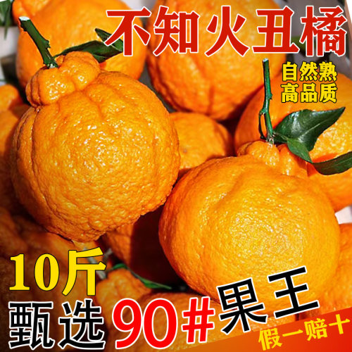 脆甜丑橘10斤现摘今天发！