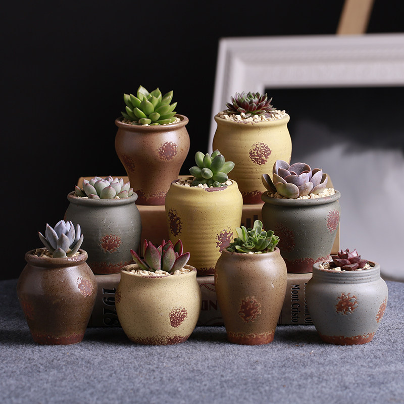 陶瓷花盆古小缸多肉小花盆复古中国风古典迷你盆栽绿植花卉盆景盆