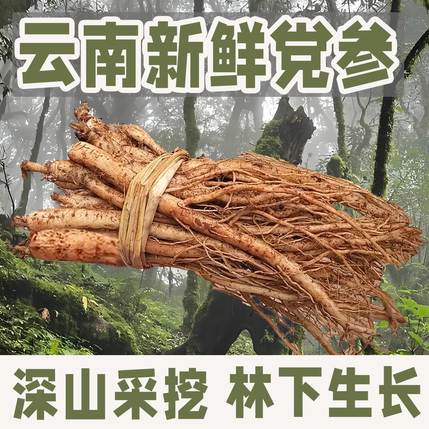 云南新鲜党参【秋冬滋补】