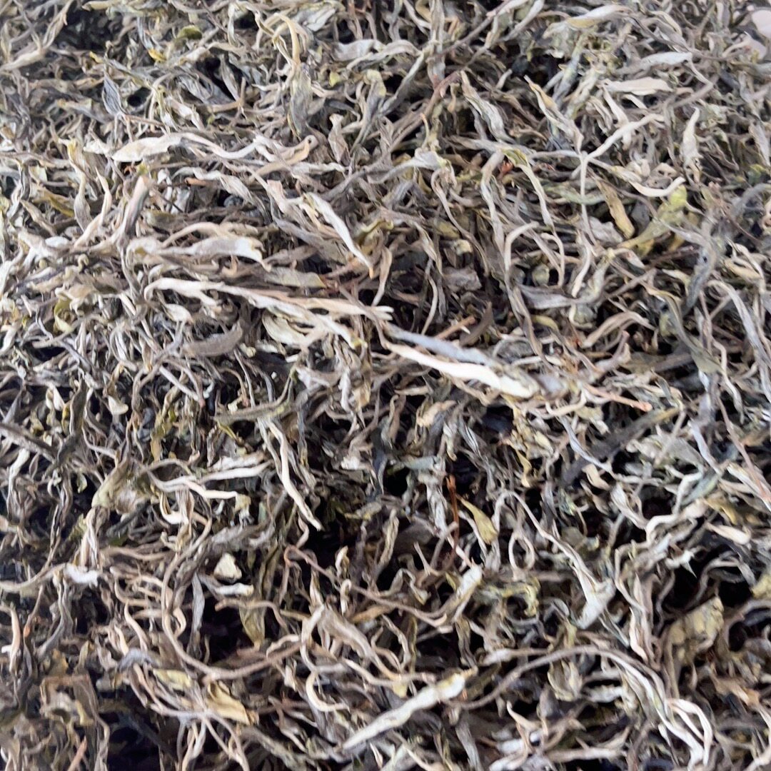2023年春茶云南普洱茶临沧勐库那焦石头寨正宗古树生茶150g袋装