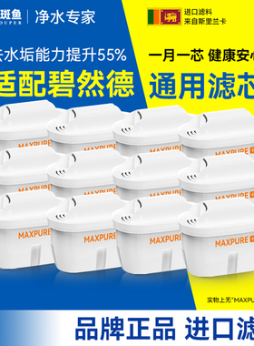 【全新三代】石斑鱼滤水壶滤芯通用滤芯适配碧然德brita净水壶