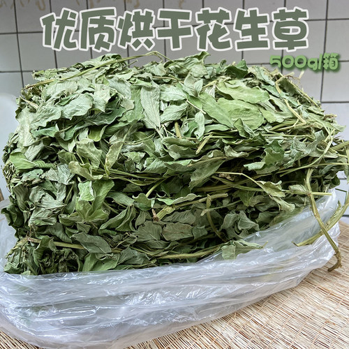 护肠胃花生叶花生草苗保健兔子