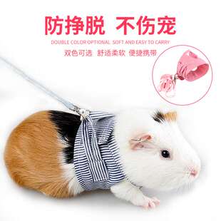 侏儒兔荷兰猪豚鼠龙猫金花魔王松鼠牵引绳背心式绳子外出衣服用品
