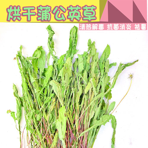 烘干蒲公英兔龙猫豚鼠消炎保健草