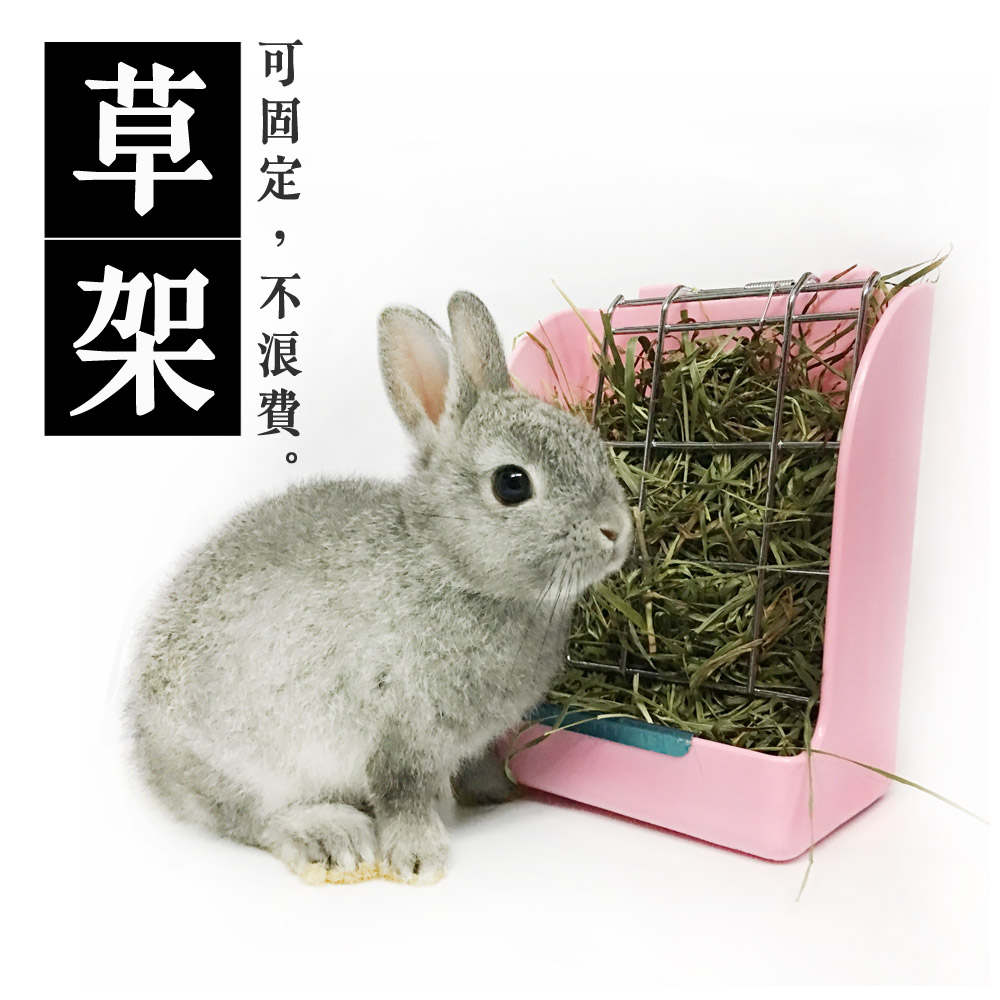 Maca Same item Spring Grass frame Grass Ball Dishes Pet rabbit Totoro Guinea pigs Guinea pigs Hastilyin the Pet/Pet food and supplies , Rabbits and supplies , Grass frame  category - from Buy2taobao.com to provide professional Taobao agent buy service