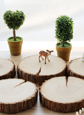 复古风年轮拍照背景10-15cm木桩