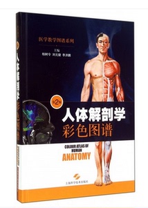 人体解剖学彩色图谱(第2版)柏树令//刘元健//李洪鹏 上海科技出版社