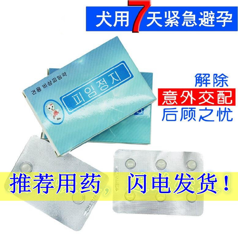 母犬小狗狗避孕绝育流产药打掉怀孕专用药 进口韩国孕停成功率95%