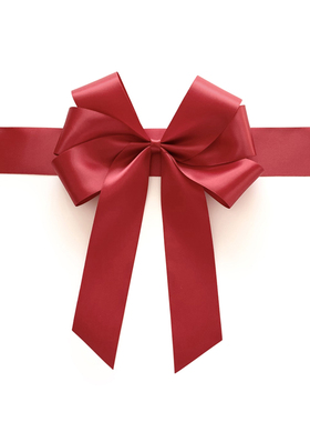 17/20CM大号蝴蝶结+宽绑带成品缎带丝带礼品礼物盒包装装饰酒红色