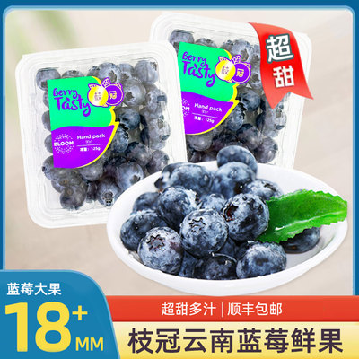 云南枝冠蓝莓鲜果125g/盒顺丰