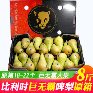 【荷兰进口啤梨图片】近期172组荷兰进口啤梨