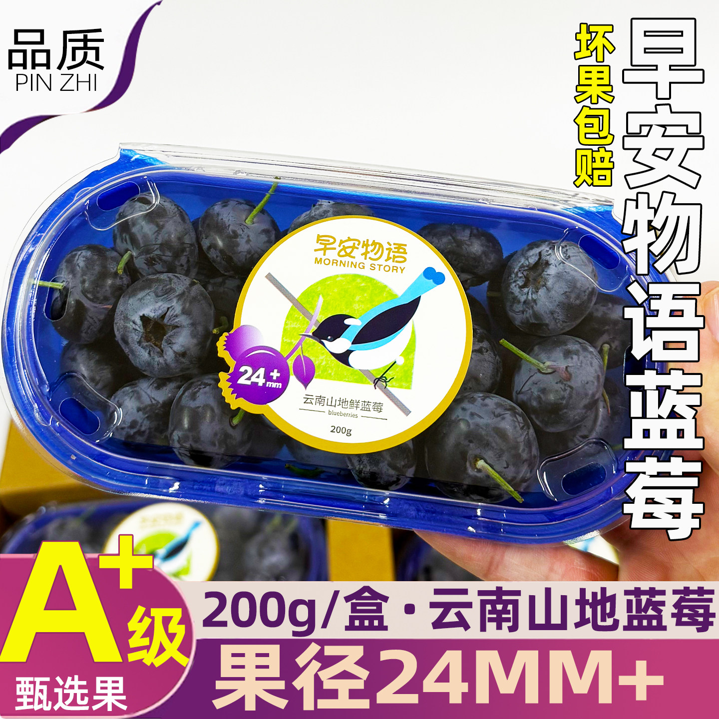 早安物语云南山地24+云南大蓝莓王蓝莓新鲜装顺丰包邮L25花香