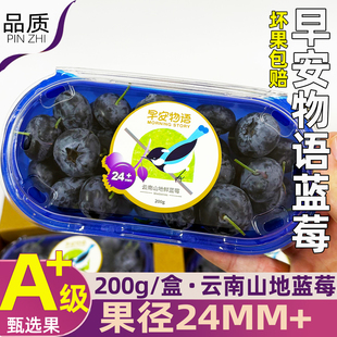 包邮 顺丰 L25花香 云南大蓝莓王蓝莓新鲜装 早安物语云南山地24
