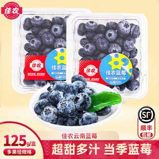 佳农云南蓝莓新鲜水果当季 限量清甜新鲜L25花香蓝莓鲜果水果顺丰