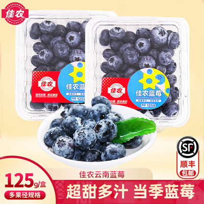 佳农云南蓝莓L25花香蓝莓顺丰