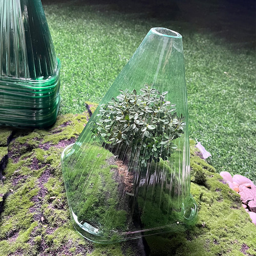 塑料种植物罩防鸟类防霜冻