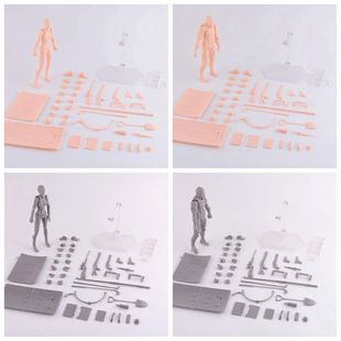 Figma 肤色素体2.0 男性 女性 豪华版 肌肤色 灰色 可动手办