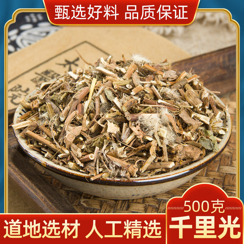野生千里光500克 中药材中草药小孩洗澡泡澡九里光 一扫光 黄花母