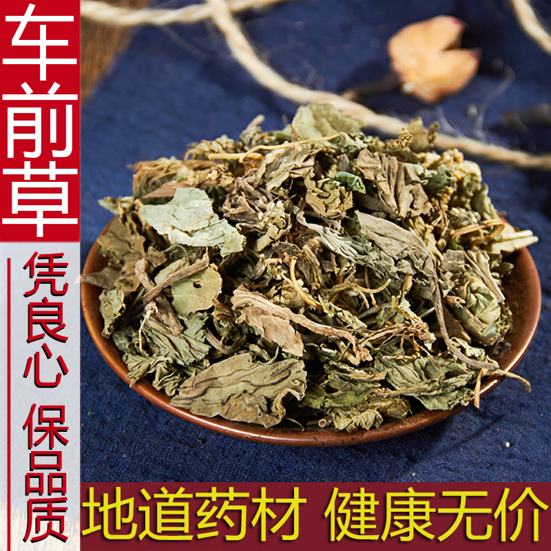 车前草干野生车前草茶中药材500g克新鲜干货新货正品另售车前子