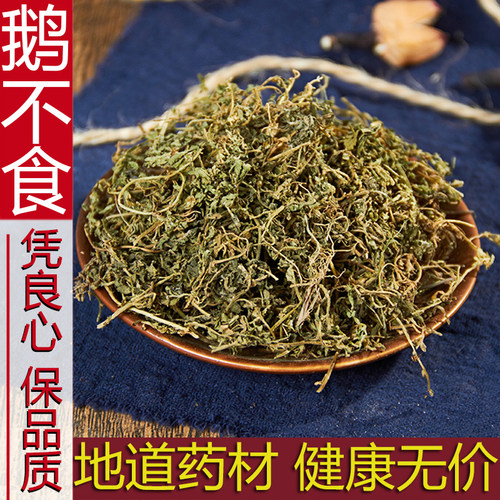 中药材散装新鲜干货鹅不食草