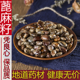 蓖麻子 蓖麻籽中药材新鲜干货500g包邮大粒 蓖麻籽种子 红大麻子