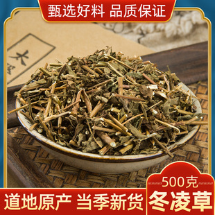 冬凌草中药材正品新货冬凌草泡茶冰凌草六月令冬陵草东凌草冬灵草