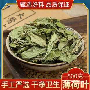 正品中药材薄荷叶薄荷茶叶新鲜干薄荷叶500g包邮特价可免费磨粉