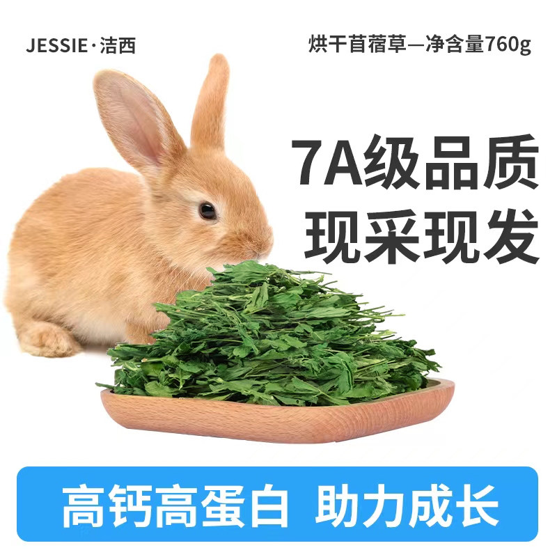蓿草兔子粮草紫花干草幼兔食用豚鼠吃的粮食苜宿小麦草兔粮饲料