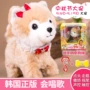 Hàn Quốc Sạc mô phỏng Dog Boy Toy Plush Electric Toy Walking Singing Leash Dog Child Dog điện tử - Đồ chơi điều khiển từ xa đồ chơi mini