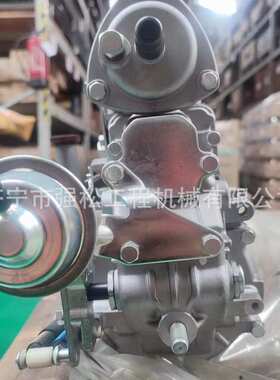 9700360425 22010-E0522燃油泵 发动机柴油泵喷油泵