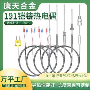 探针式 191K型 铠装 热电偶WRNK T型热电偶E型热电偶PT100 J型 N型