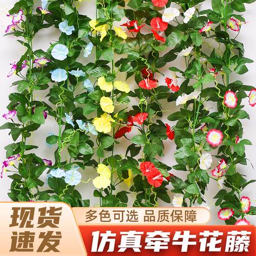 仿真牵牛花藤条壁挂假花装饰空调管道缠绕遮挡塑料绢花喇叭花藤蔓