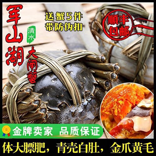 军山湖大闸蟹南昌螃蟹10只全母蟹