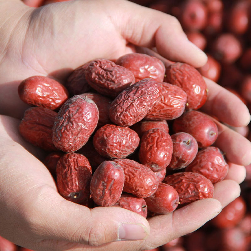 新疆树上风干枣灰枣红枣