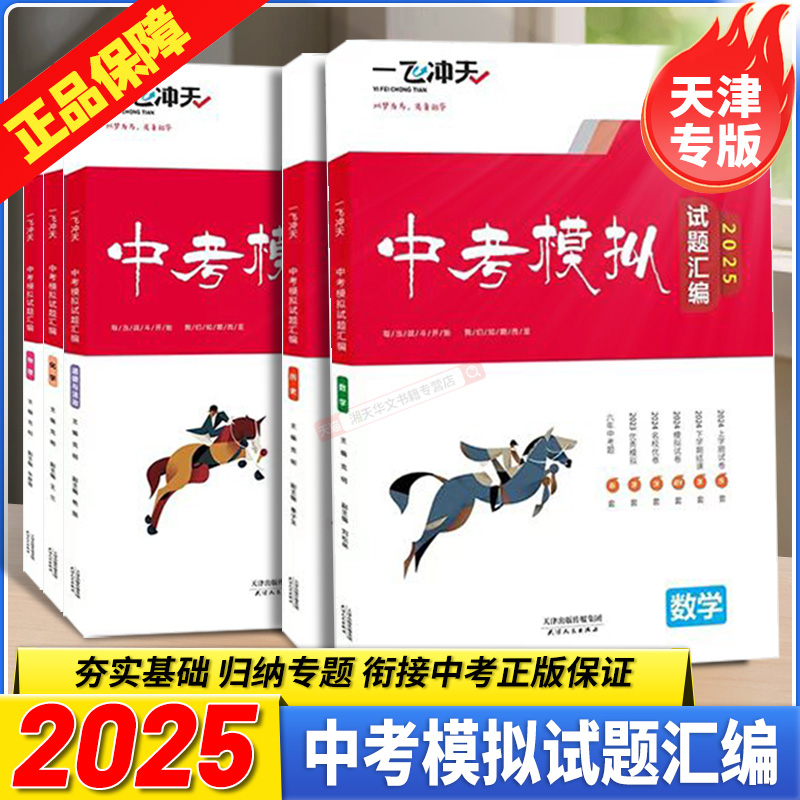 2025一飞冲天中考模拟试题汇编