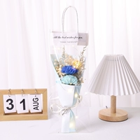 Новые 2 гвоздики [двойной синий) свет+сумка