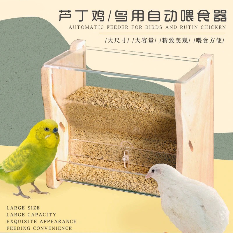 8玖-芦丁鸡鹦鹉喂食器自动食槽食碗鸟用下料食盒食盆饲料饲养用品