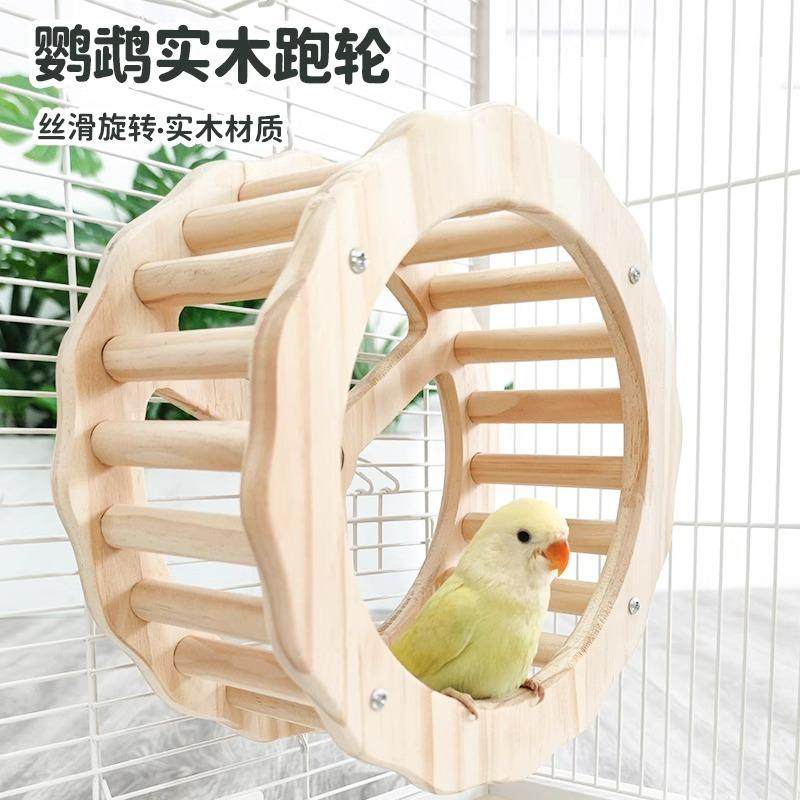 8玖-鹦鹉跑轮玩具自嗨解闷益智转轮玄凤牡丹虎皮宠物用品玩具造景,宠物/宠物食品及用品,玩具/造景装饰,淘宝优惠券,粉丝福利购,淘宝优惠卷