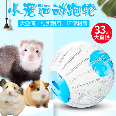 8玖-33CM超大号雪貂龙猫跑球滚球 松鼠刺猬兔子豚鼠放风玩具