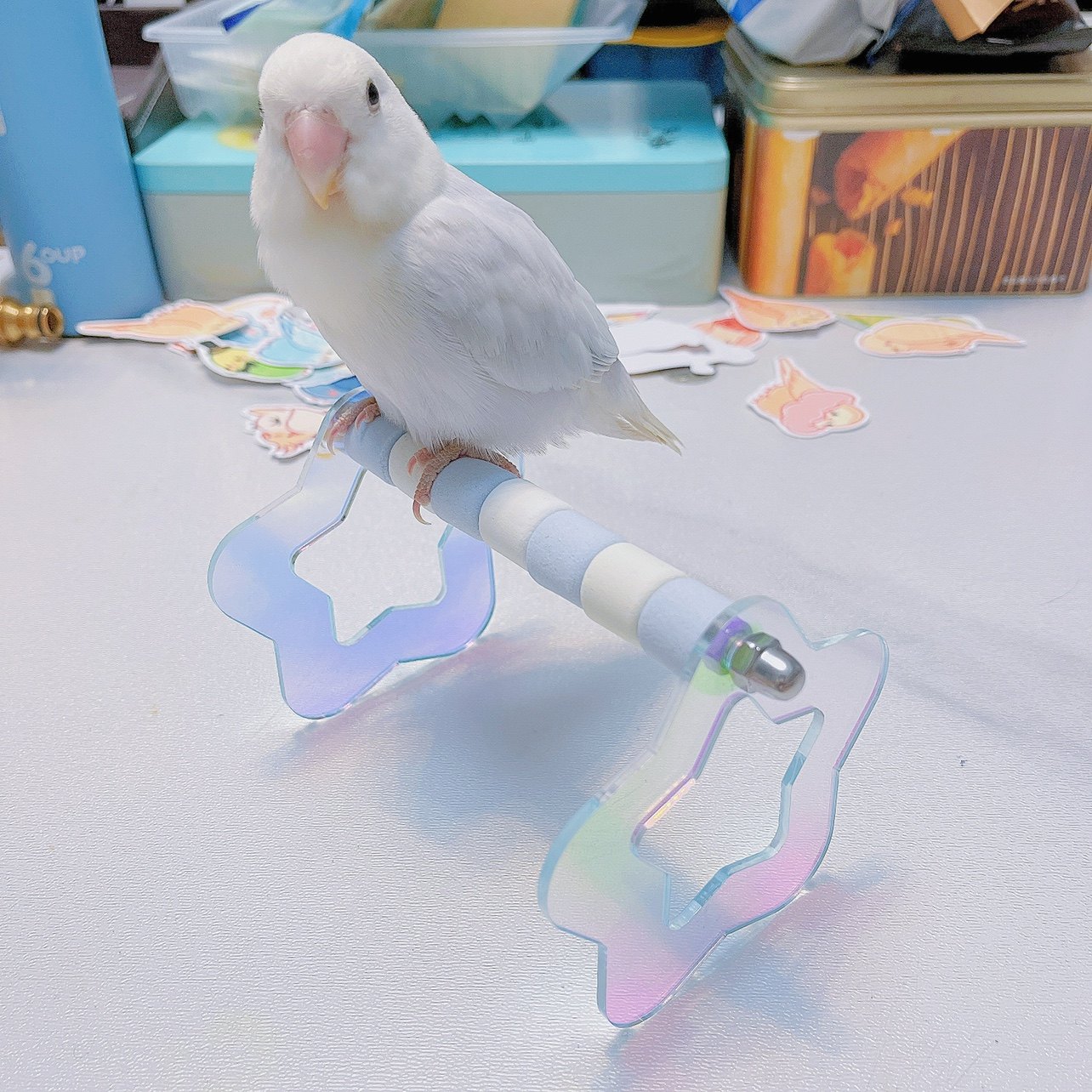 8玖-炫彩亚克力星星鸟站架鹦鹉站架牡丹虎皮玄凤花朵站架秋千玩具,宠物/宠物食品及用品,鸟玩具,淘宝优惠券,粉丝福利购,淘宝优惠卷