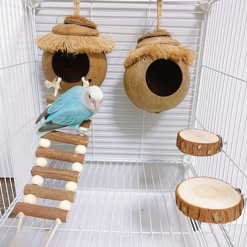 8玖-鸟窝鹦鹉窝草编鸟巢玄凤虎皮珍珠鸟窝椰子壳椰壳鸟窝草窝保暖