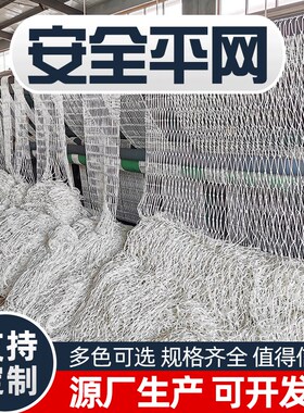 防坠网 白色安全平网货柜网 阻燃防护安围网 涤纶尼龙白网