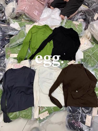 韩单EGG~自发热磨毛五色打底衫