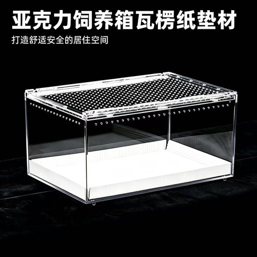 肥尾豹纹守宫垫纸 白色加厚瓦楞纸 蜥蜴亚克力饲养盒包边垫材