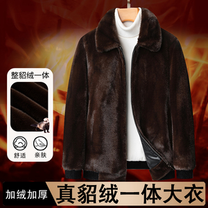 北美大金貂冬季男士貂绒皮毛一体翻领保暖中年爸爸装外套貂皮大衣