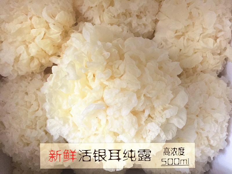 新鲜活银耳纯露500ML 补水胶原蛋白细腻 滋润肌肤 超高浓度 包邮
