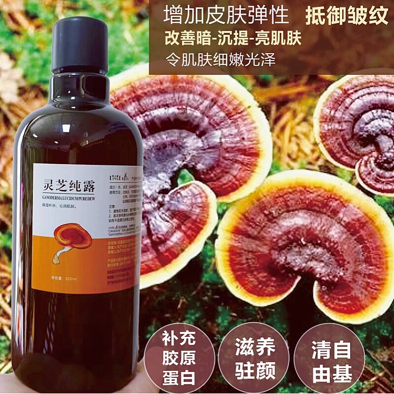 饱和灵芝纯露500ml 胶原皱美 bai 斑 题亮皮肤清自由基
