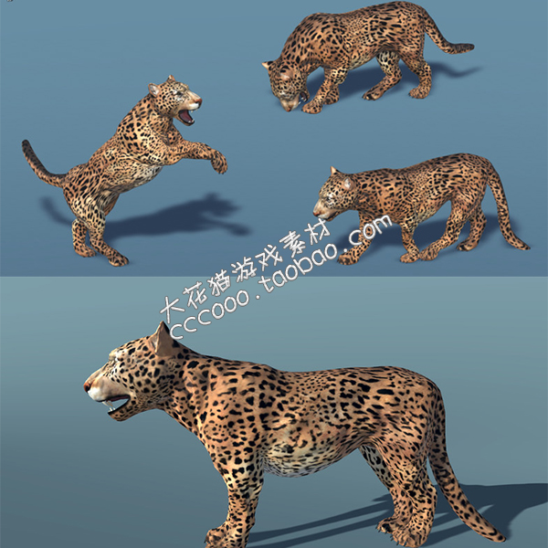 unity3D 动物模型 美国动物捷豹 带动作动画 游戏资源素材