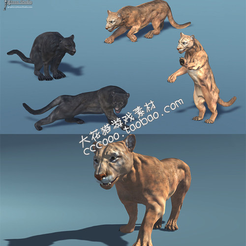 动物模型带动作动画美洲狮包 U3D动物模型游戏资源 unity3D模型
