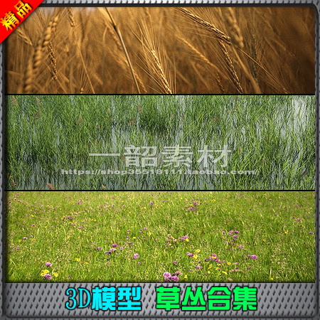 3D模型草丛合集 写实植物小草芦苇小麦 园林景观素材 3dsmax